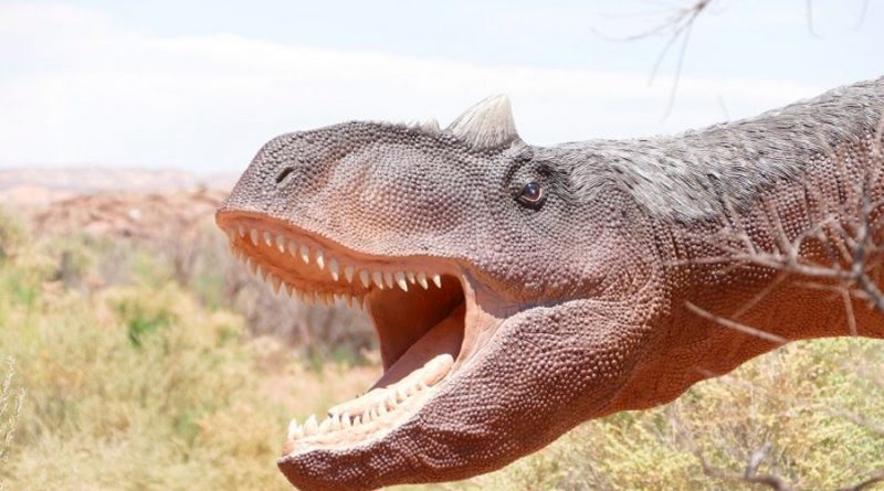 Descubren el último banquete de un dinosaurio de 1300 kilos hace más de 110 millones de años, según lo hallado en su estómago