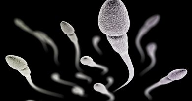 Descubren una nueva proteína que ‘activa’ el esperma para la fertilización