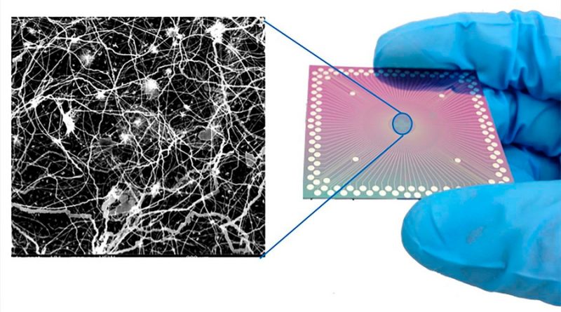 Logran miles de sinapsis cerebrales artificiales trabajando en un solo chip