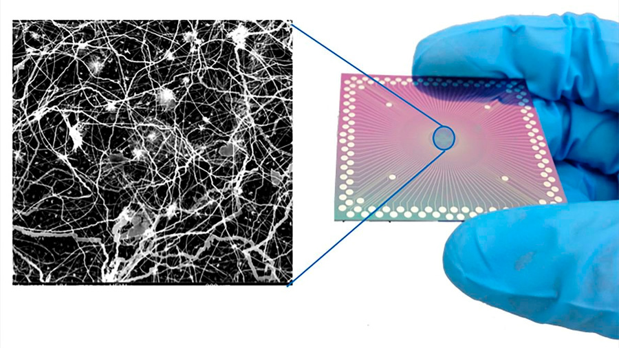 Logran miles de sinapsis cerebrales artificiales trabajando en un solo chip