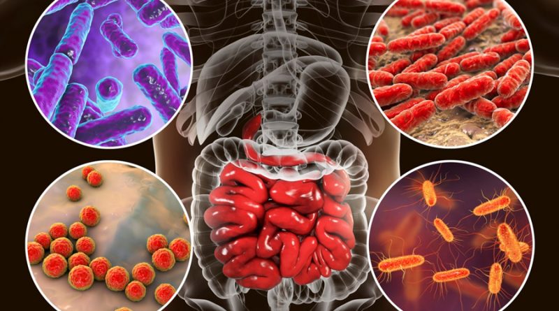 Investigan el potencial del microbioma intestinal para alterar la seguridad de los fármacos