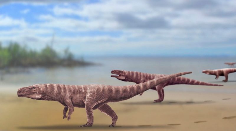 Especies de antiguos cocodrilos caminaban sobre sus dos patas traseras: estudio