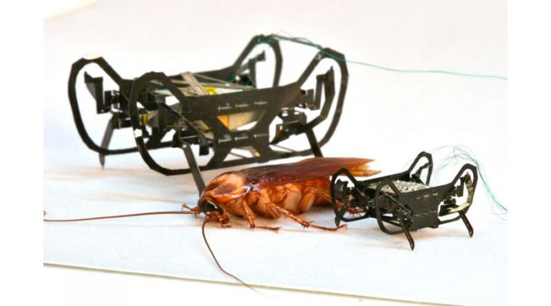 Robot cucaracha, destreza mecánica en menos de 1 gramo