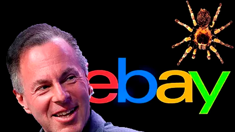 Fetos, arañas y pornografía contra Ina, la periodista "aplastada" por criticar al CEO de Ebay