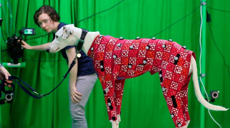 Nueva tecnología de captura de movimiento puede digitalizar a un perro en tan solo unos segundos