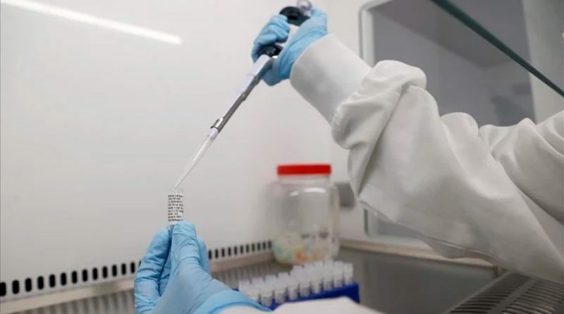 Investigadores mexicanos desarrollan vacuna contra el Covid-19 a base de anticuerpos de pacientes