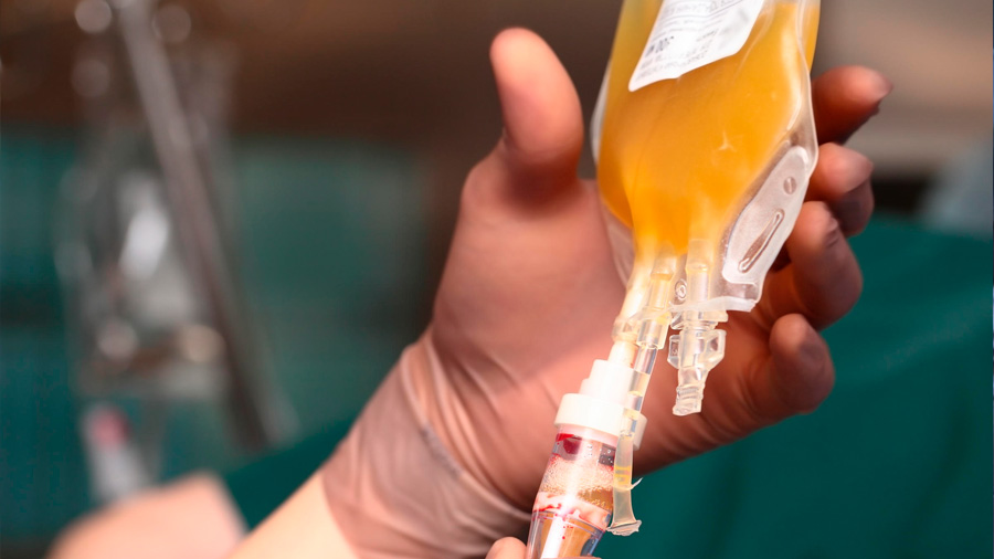 Un suero mexicano podría ser la esperanza contra Covid-19