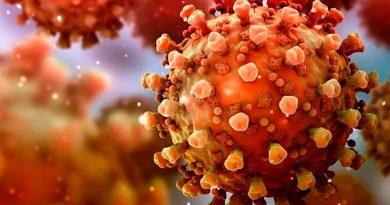 El coronavirus no es un ser vivo y otras 7 respuestas que debes saber