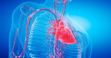 Descubren cómo una proteína clave puede ayudar al corazón a reparar el daño tras un infarto