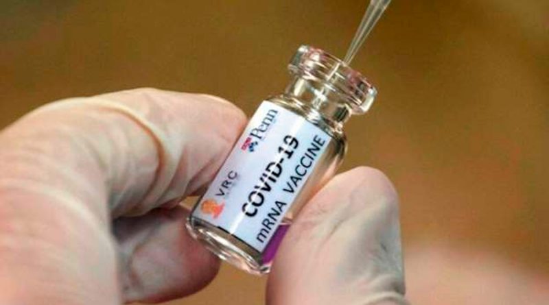 Pfizer y BioNTech anuncian que su vacuna para Covid-19 dio positiva e irán prueba masiva en 30,000 humanos