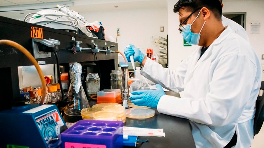 Investigadores mexicanos desarrollan nanopartícula contra coronavirus