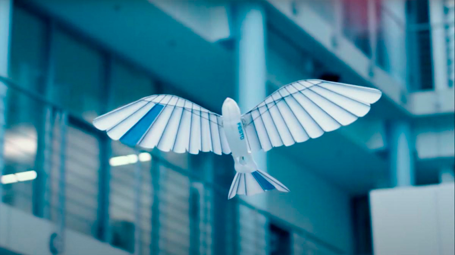 Este impresionante robot es un pájaro biónico que vuela como las aves de verdad