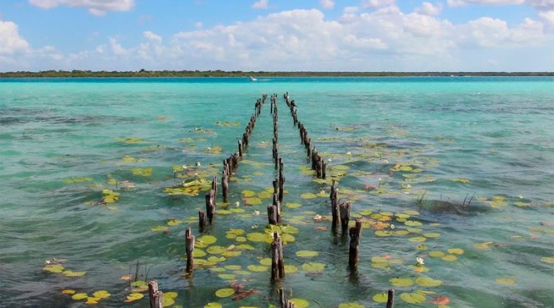 UNAM: Bacalar, el arrecife bacteriano más grande del mundo, en grave riesgo