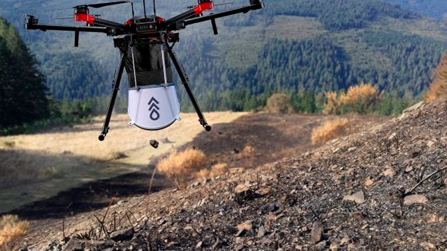 Estos drones son el ‘arma secreta’ contra la deforestación del planeta: plantan semillas automáticamente