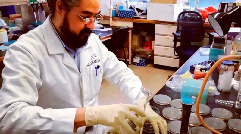 Científicos mexicanos contra la “desinfodemia” sobre el coronavirus