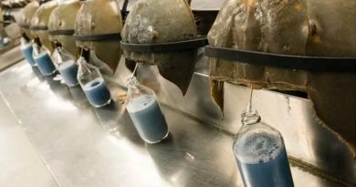 Por qué la "sangre azul" de unos cangrejos es clave en la vacuna que se busca contra el covid-19