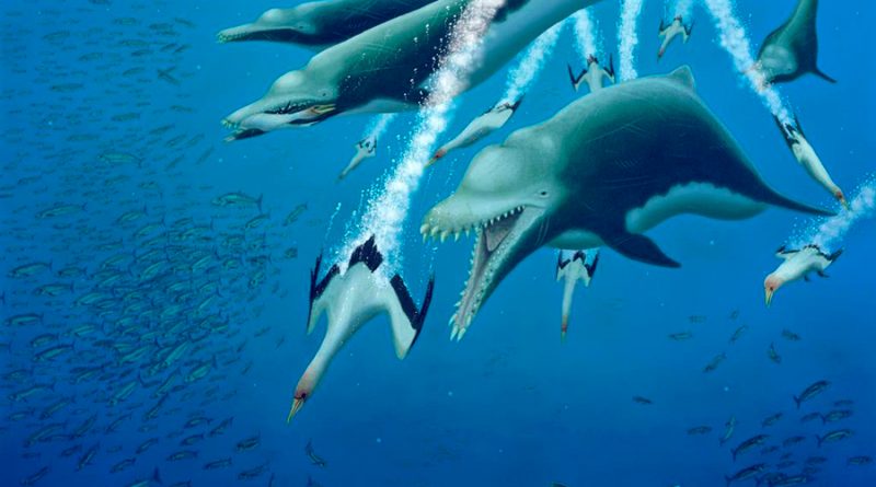 El esqueleto de un delfín extinto de 4,5 metros sugiere una evolución paralela entre las ballenas
