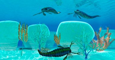 Escorpiones marinos: la temible especie que dominaba el océano hace millones de años