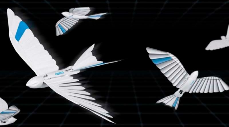 Contempla cómo vuelan estos pájaros robóticos que parecen golondrinas de una compañía alemana
