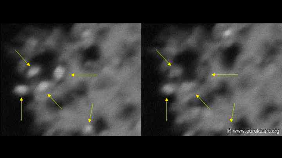 Nanocristales 'luciérnaga' pueden ayudar con las computadoras cuánticas