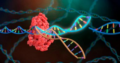 Una nueva herramienta CRISPR ultracompacta revela el primer virus con antivirus
