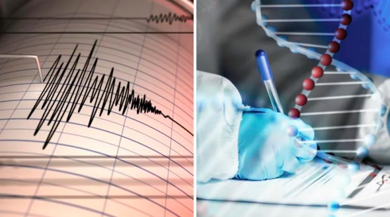 ¿Los sismos pueden estar grabados en el ADN? Un estudio genético así lo sugiere