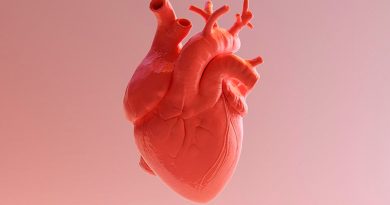 Crean un corazón capaz de bombear impreso en 3D con células madre humanas
