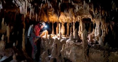 Estalagmitas refutan que neandertales sucumbieran a cambios de clima
