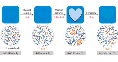 Un hidrogel imita la capacidad de memoria del cerebro humano