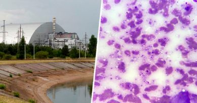 Científicos descubren hongo que se “come” la radiación de Chernobyl