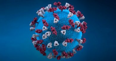 ¿Cómo surgen los virus que infectan al humano? Origen y evolución del SARS-CoV-2
