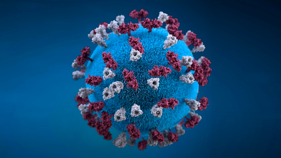 ¿Cómo surgen los virus que infectan al humano? Origen y evolución del SARS-CoV-2