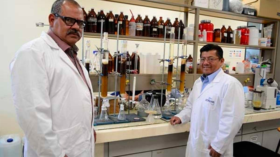 Investigadores mexicanos obtienen patentes sobre desinfectante de Jamaica