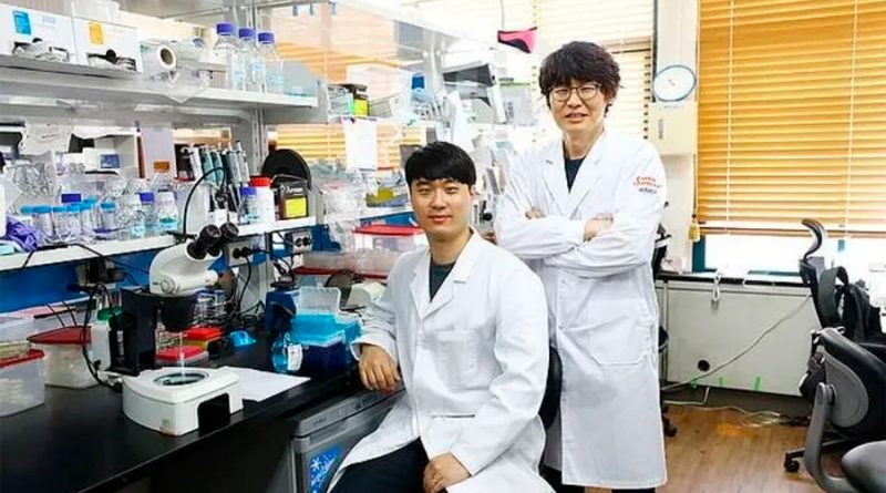 Científicos desarrollan enzima contra la vejez que funcionaría en humanos