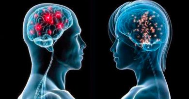 Los cerebros de las mujeres tienen más actividad que los de los hombres