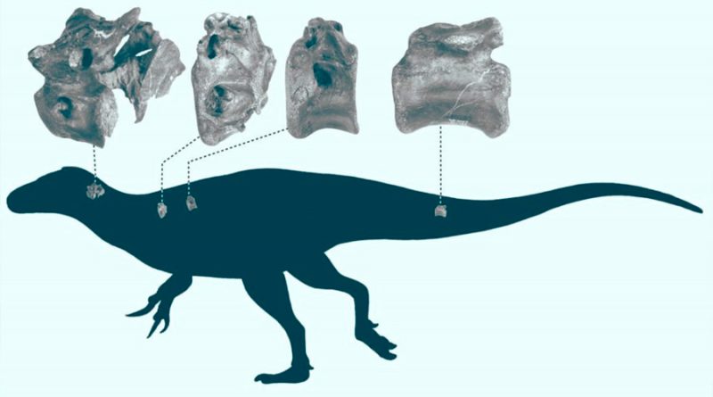 Nuevas especie de dinosaurio descubierta en la Isla de Wight