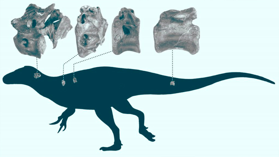 Nuevas especie de dinosaurio descubierta en la Isla de Wight