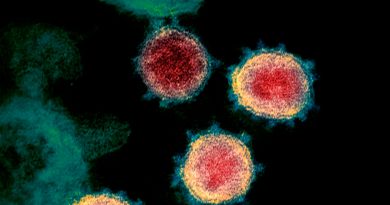 Descubren una nueva 'debilidad' en el coronavirus: cómo evitar que se una a la célula huésped