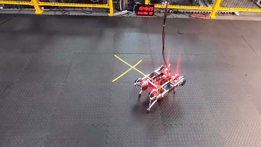 La inteligencia robótica da un paso más: este robot se ha enseñado a sí mismo a caminar