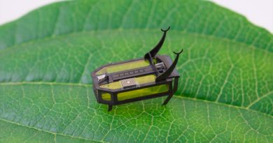 Científicos crean un robot del tamaño de un escarabajo movido por metanol