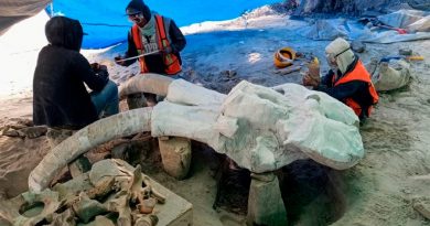 Hallazgo paleontológico de Santa Lucía urge de atención y presupuesto