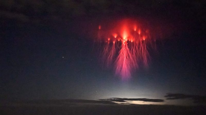 Raro fenómeno: captan una impresionante "medusa roja" en el cielo de Texas