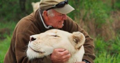 Dos leonas matan a un conocido conservacionista en Sudáfrica