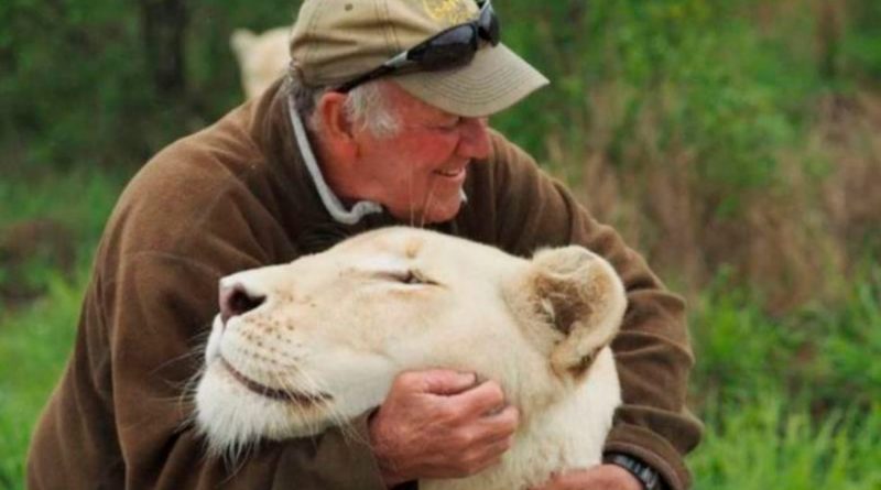 Dos leonas matan a un conocido conservacionista en Sudáfrica