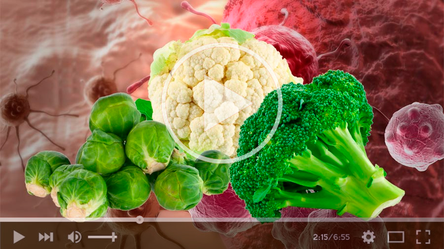 Mediante química verde, científicos de la UNAM estudian propiedades anticancerígenas del brócoli