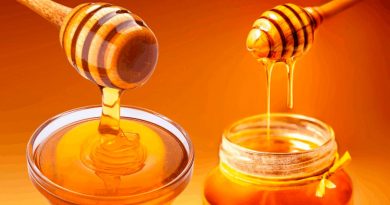 Estudio de la U. de Oxford señala que la miel es mejor que los antibióticos para tratar la tos