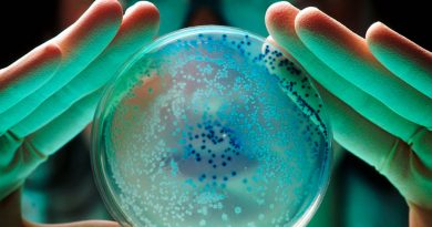 Las bacterias superresistentes, el otro gran problema de salud global frente al que también fuimos advertidos