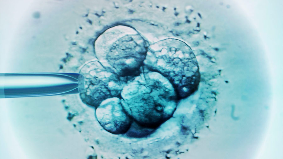 Ciencia “no está lista” para modificación de embriones humanos: expertos