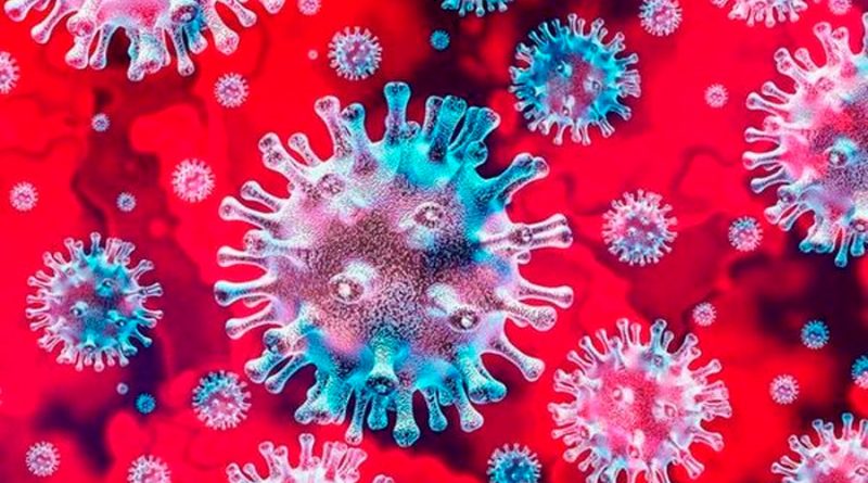 Una luz de esperanza: descubren cuánto perduran los anticuerpos contra el coronavirus