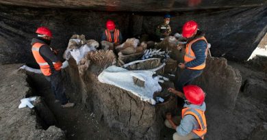 México: suman 200 mamuts los encontrados en Santa Lucía
